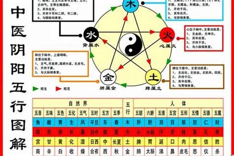 1984年五行缺什么|1984年到底是金命还是木命？1984年属鼠金命缺什么？